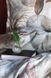 Постельное белье тенсел сатин люкс Issimo Home Ashi 4