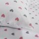 Постільна білизна фланель Lotus Home Small Hearts 4