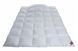 Пуховое одеяло Hefel Platinum Down (WD) Зимнее 1