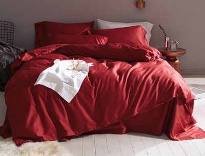 Постельное бельё Комфорт Текстиль сатин Premium WINE RED (BORDO), №23