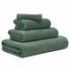 Рушник египетська бавовна Abyss & Habidecor Twill 280 Evergreen 1