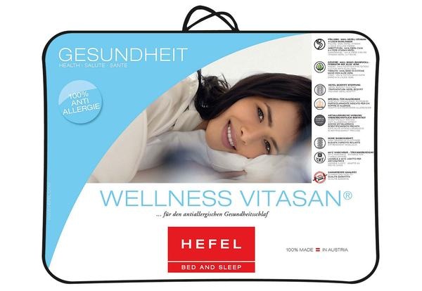 Одеяло антиаллергенное Hefel Wellness Vitasan (SD) Летнее