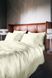 Постільна білизна сатин Vegan Silk Issimo Home Jade Cream 1