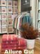 Полотенце бамбуковое Tac Allure Bambu gul, 50х90 см