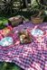 Скатертина з серветками Istanbul Piknik Set 140х180 см Happy Days Kirmizi 6