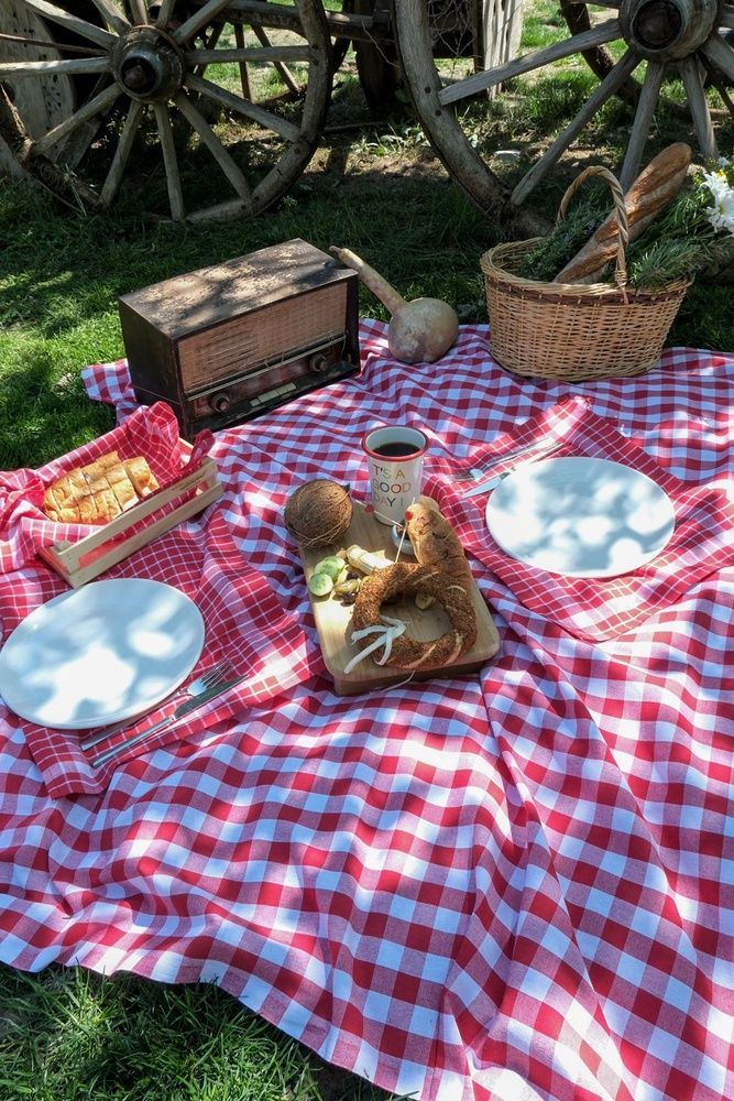 Скатертина з серветками Istanbul Piknik Set 140х180 см Happy Days Kirmizi