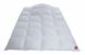 Одеяло пуховое Hefel Tencel De Luxe Down 100 (WD) Зимове 2