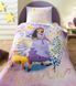 Постельное бельё ТАС Disney Wish, 160х220 см, 50х70см (1шт), 100х200 см (на резинке)