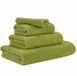 Рушник египетська бавовна Abyss & Habidecor Twill 165 Apple Green 1
