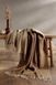 Плед Biederlack Plaid camel-beige 1